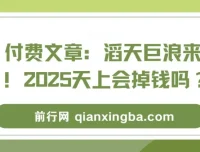 付费文章：2025经济形势与风口解读
