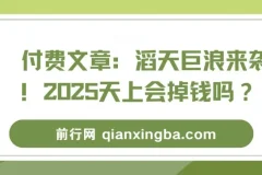 付费文章：2025经济形势与风口解读