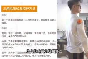 小萝卜四分化健身入门课程：胸背肩腿基础训练