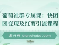 快团团变现与小红书引流课程：解决流量、变现、帮卖痛点