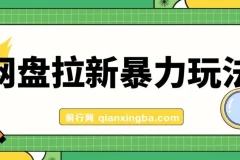 网盘拉新玩法：简单录屏操作，实现收益提升