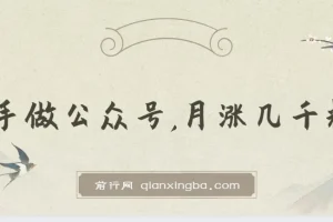 新手公众号涨粉策略：月涨数千粉的实用方法