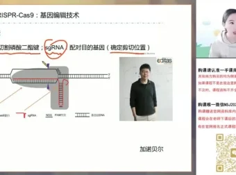 2024高考马阳洋生物二轮冲刺班：稳态与生态专题