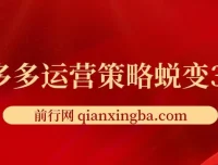 大力老师·2024拼多多运营策略蜕变3.0课程