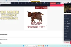 蚂蚁电商千川自然流实战课：短视频与直播爆量技巧