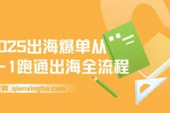 2025出海爆单全攻略：抢滩新风口