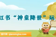 小红书“神童降世”玩法课程：育婴领域起号与私域打造