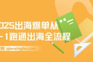 2025出海爆单全攻略：抢滩新风口