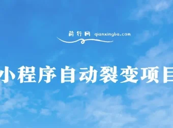 小程序自动裂变项目：微信平台全自动推广教程