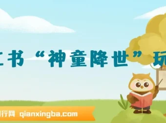 小红书“神童降世”玩法课程：育婴领域起号与私域打造