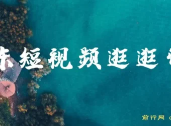 京东短视频逛逛带货：百分百过原创与长期收益玩法