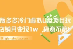 多多冷门虚拟U盘项目玩法（2025版）：单店铺月变现1w+
