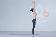 王媛24式瑜伽体式精讲：零基础入门