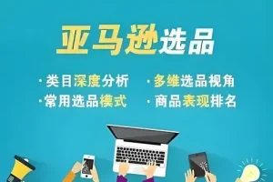 阿甘亚马逊跨境电商利基选品案例课程