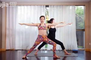 杨淇五行经络瑜伽养生理疗课程