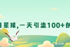 星球引流：日获100+创业粉实操项目
