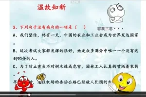 诸葛学堂语文基础技巧快速掌握课程