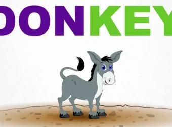 美国原版1 – 6岁幼儿园英语启蒙早教课程