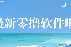 零撸软件项目揭秘：单机日收益可观，小白轻松上手