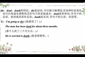 盖老师119节英语语法课：冠词到从句全掌握