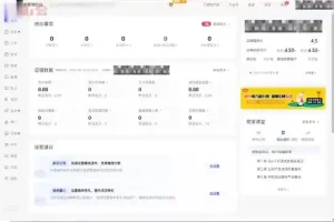 小红书电商带货实战教程：开店与爆款笔记指南