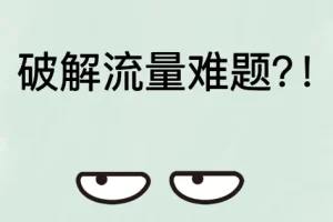 破解流量难题：私域流量池构建与营销引流秘籍
