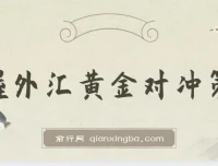 外汇黄金对冲投资策略：小众高回报创业机遇