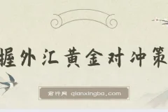 外汇黄金对冲投资策略：小众高回报创业机遇