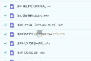 丁芝初二化学8升9春衔秋目标A+课程（全国通用）