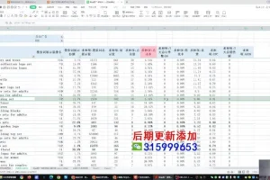 跨境飞哥广告付费流量优化高阶课程第23期：用数据驱动决策