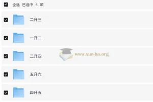 学霸的暑假：小学数学计算暑期大通关（人教版）