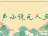 有声小说无人直播保姆式教学课程