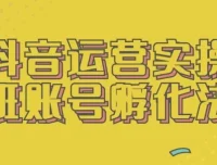 抖音运营实操班：账号孵化法课程