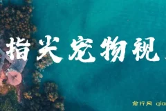 指尖宠物视频课程：AI生成可爱宠物视频