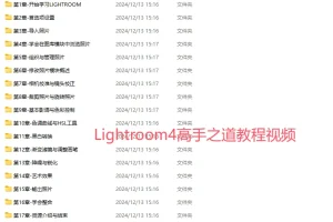 Lightroom4高手之道教程视频
