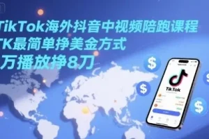 TikTok海外抖音中视频陪跑课程：TK AI玩法轻松挣美金