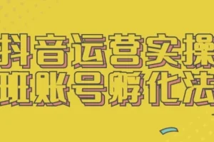 抖音运营实操班：账号孵化法课程