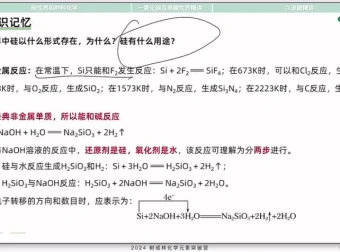 张子涵高考化学元素速记突破营：30天攻克钠铝铁氯等元素