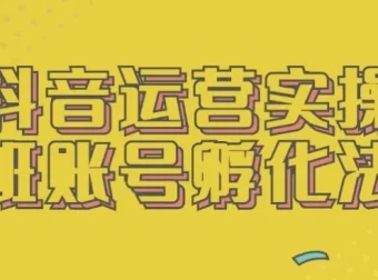 抖音运营实操班：账号孵化法课程