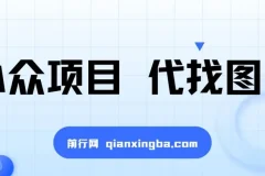 代找图书小众项目：爆单率高，适合兼职