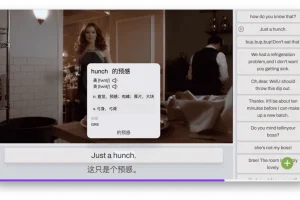 DashPlayer 视频播放器：助力英语学习的实用工具