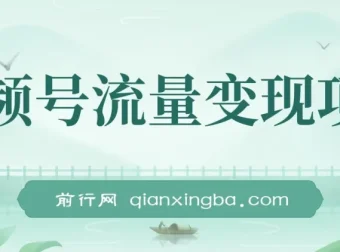 视频号流量变现项目：简单易上手的小而美收益玩法