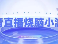 抖音烧脑小游戏直播项目：宝妈与上班族的副业之选