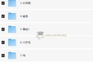 幼儿小学英语基础版思维导图学习资源