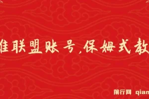 靠英雄联盟账号从零到月入万项目：保姆式教学