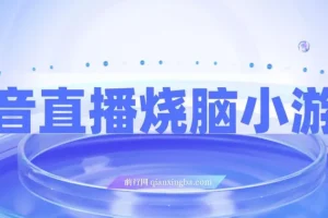 抖音烧脑小游戏直播项目：宝妈与上班族的副业之选