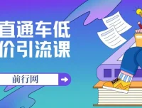 直通车低价引流课程：系统化学习精准投放（14节课）