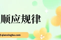 十年一遇市场机遇：顺应规律，转换思维，把握方向