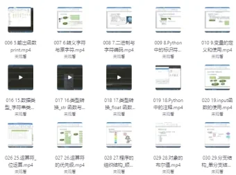 杨淑娟《Python开发入门教程》：零基础入门编程