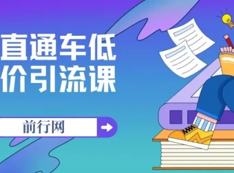 直通车低价引流课程：系统化学习精准投放（14节课）
